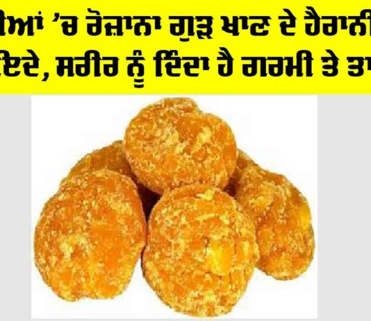 Gud in Winters: ਸਰਦੀਆਂ ’ਚ ਰੋਜ਼ਾਨਾ ਗੁੜ ਖਾਣ ਦੇ ਹੈਰਾਨੀਜਨਕ ਫਾਇਦੇ, ਸਰੀਰ ਨੂੰ ਦਿੰਦਾ ਹੈ ਗਰਮੀ ਤੇ ਤਾਕਤ Gud in Winters