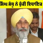 Harmeet Singh Sandhu: ਹਰਮੀਤ ਸਿੰਘ ਸੰਧੂ ਨੇ ਚੁੱਕੀ ਵਿਧਾਇਕ ਵਜੋਂ ਸਹੁੰ Harmeet Singh Sandhu