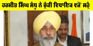 Harmeet Singh Sandhu