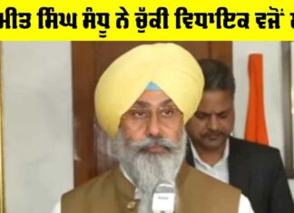 Harmeet Singh Sandhu