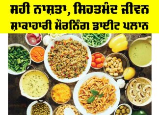 Healthy Breakfast Diet Plan: ਸਹੀ ਨਾਸ਼ਤਾ, ਸਿਹਤਮੰਦ ਜੀਵਨ: ਸ਼ਾਕਾਹਾਰੀ ਮੌਰਨਿੰਗ ਡਾਈਟ ਪਲਾਨ Healthy Breakfast Diet Plan