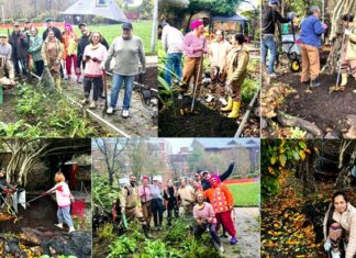 London News: ਪਵਿੱਤਰ ਐੱਮਐੱਸਜੀ ਅਵਤਾਰ ਮਹੀਨੇ ਦੀ ਖੁਸ਼ੀ ’ਚ ਸਾਧ-ਸੰਗਤ ਨੇ ਕੀਤੇ ਸੇਵਾ ਕਾਰਜ