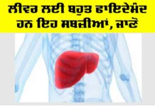 Liver: ਲੀਵਰ ਲਈ ਬਹੁਤ ਫਾਇਦੇਮੰਦ ਹਨ ਇਹ ਸਬਜ਼ੀਆਂ, ਜਾਣੋ Liver