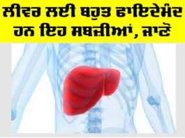 Liver: ਲੀਵਰ ਲਈ ਬਹੁਤ ਫਾਇਦੇਮੰਦ ਹਨ ਇਹ ਸਬਜ਼ੀਆਂ, ਜਾਣੋ Liver