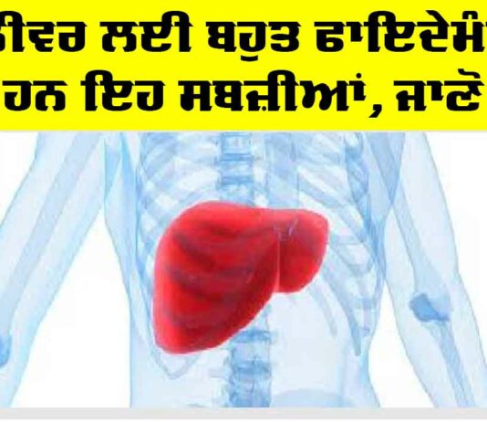 Liver: ਲੀਵਰ ਲਈ ਬਹੁਤ ਫਾਇਦੇਮੰਦ ਹਨ ਇਹ ਸਬਜ਼ੀਆਂ, ਜਾਣੋ Liver