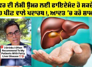 Liver Health: ਲੀਵਰ ਦੀ ਲੰਮੀ ਉਮਰ ਲਈ ਫਾਇਦੇਮੰਦ ਹੋ ਸਕਦੇ ਨੇ ਇਹ ਪੀਣ ਵਾਲੇ ਪਦਾਰਥ, ਆਦਤ ’ਚ ਕਰੋ ਸ਼ਾਮਲ Liver Health