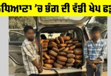 Ludhiana Crime News: ਲੁਧਿਆਣਾ ‘ਚ ਡੀਆਰਆਈ ਦੀ ਕਾਰਵਾਈ, 103 ਕਿਲੋਗ੍ਰਾਮ ਭੰਗ ਜ਼ਬਤ Ludhiana Crime News