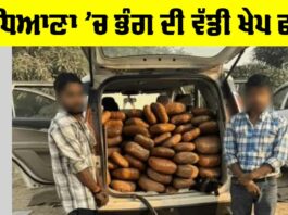 Ludhiana Crime News