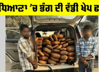 Ludhiana Crime News