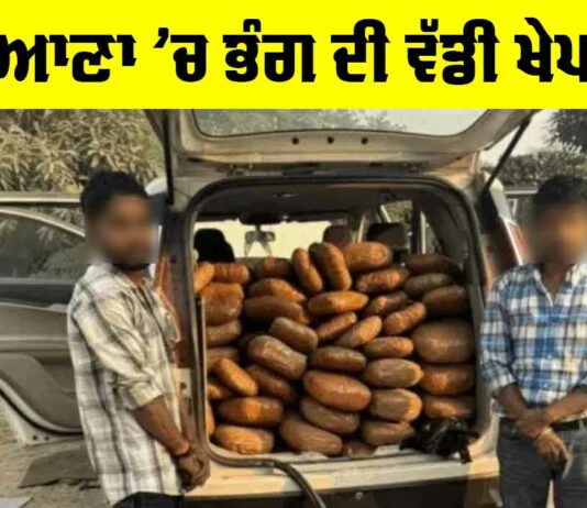 Ludhiana Crime News: ਲੁਧਿਆਣਾ ‘ਚ ਡੀਆਰਆਈ ਦੀ ਕਾਰਵਾਈ, 103 ਕਿਲੋਗ੍ਰਾਮ ਭੰਗ ਜ਼ਬਤ Ludhiana Crime News