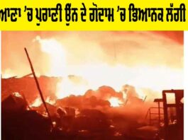 Ludhiana Fire: ਲੁਧਿਆਣਾ ‘ਚ ਪੁਰਾਣੀ ਉੱਨ ਦੇ ਗੋਦਾਮ ‘ਚ ਭਿਆਨਕ ਲੱਗੀ ਅੱਗ Ludhiana Fire