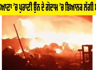 Ludhiana Fire: ਲੁਧਿਆਣਾ ‘ਚ ਪੁਰਾਣੀ ਉੱਨ ਦੇ ਗੋਦਾਮ ‘ਚ ਭਿਆਨਕ ਲੱਗੀ ਅੱਗ Ludhiana Fire