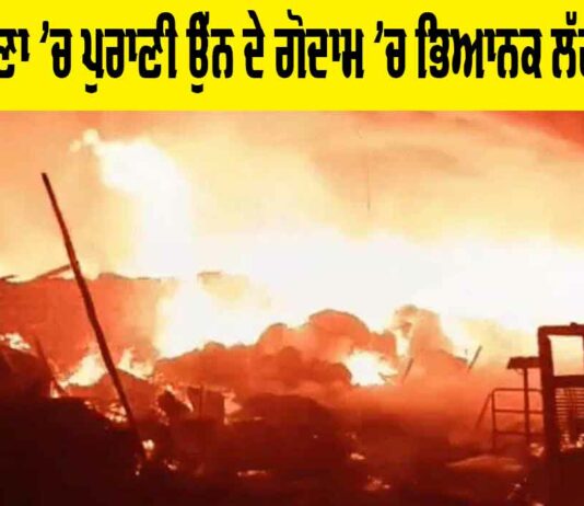 Ludhiana Fire: ਲੁਧਿਆਣਾ ‘ਚ ਪੁਰਾਣੀ ਉੱਨ ਦੇ ਗੋਦਾਮ ‘ਚ ਭਿਆਨਕ ਲੱਗੀ ਅੱਗ Ludhiana Fire