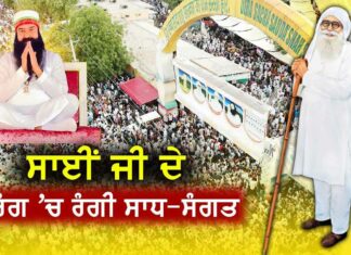 MSG Bhandara: ਸ਼ਾਹ ਸਤਿਨਾਮ-ਸ਼ਾਹ ਮਸਤਾਨਾ ਜੀ ਧਾਮ ਸਰਸਾ ’ਚ ਸਾਧ-ਸੰਗਤ ਨੇ ਇਸ ਤਰ੍ਹਾਂ ਮਨਾਇਆ ਪਵਿੱਤਰ ਅਵਤਾਰ ਦਿਹਾੜਾ MSG Bhandara