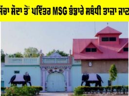 MSG Bhandara