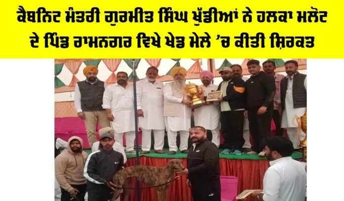 Malout News Malout News