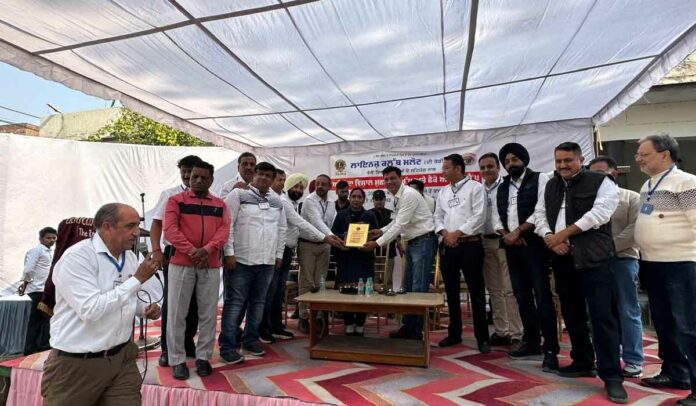 Malout News Malout News