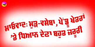 Maoism Rehabilitation