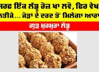 Murmura Laddu Recipe: ਸਿਰਫ ਇੱਕ ਲੱਡੂ ਰੋਜ਼ ਖਾ ਲਵੋ, ਫਿਰ ਵੇਖਣਾ ਨਤੀਜੇ… ਜੋੜਾਂ ਦੇ ਦਰਦ ਤੋਂ ਮਿਲੇਗਾ ਆਰਾਮ Murmura Laddu Recipe