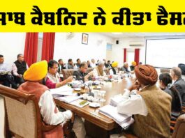 Punjab Cabinet: ਪੰਜਾਬ ਕੈਬਨਿਟ ਨੇ ਕੀਤਾ ਫੈਸਲਾ, ਹੁਣ ਕੈਡਰ ਰਾਹੀਂ ਹੋਵੇਗੀ ਭਰਤੀ Punjab Cabinet