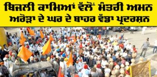 Punjab Electricity Workers