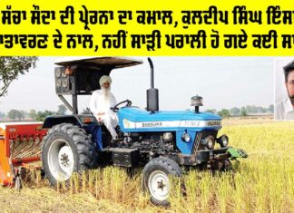 Punjab Farming News