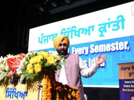 Punjab Government School