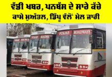 Punjab Roadways Employees