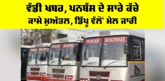 Punjab Roadways Employees