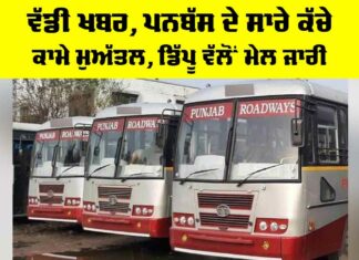 Punjab Roadways Employees