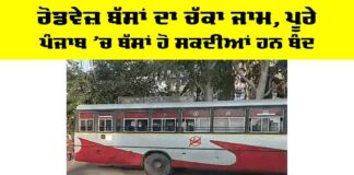 Punjab Roadways Protest