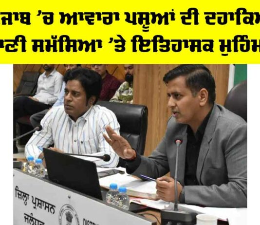 ਪੰਜਾਬ ’ਚ ਆਵਾਰਾ ਪਸ਼ੂਆਂ ਦੀ ਦਹਾਕਿਆਂ ਪੁਰਾਣੀ ਸਮੱਸਿਆ ’ਤੇ ਇਤਿਹਾਸਕ ਮੁਹਿੰਮ ਸ਼ੁਰੂ Punjab Stray Cattle Issue