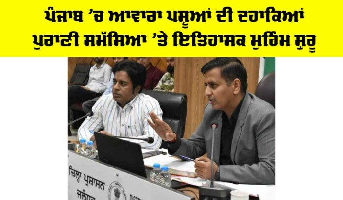 Punjab Stray Cattle Issue Punjab Stray Cattle Issue