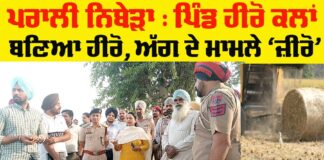 Punjab Success Story