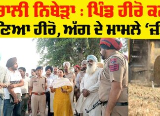 Punjab Success Story: ਪਿੰਡ ਹੀਰੋ ਕਲਾਂ ਬਣਿਆ ਹੀਰੋ, ਅੱਗ ਦੇ ਮਾਮਲੇ ‘ਜ਼ੀਰੋ’ Punjab Success Story