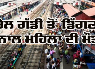Railway Incident: ਰੇਲ ਗੱਡੀ ਤੋਂ ਡਿੱਗਣ ਨਾਲ ਮਹਿਲਾ ਦੀ ਮੌਤ Railway Incident