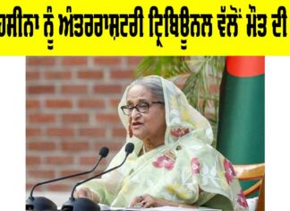 Sheikh Hasina Case