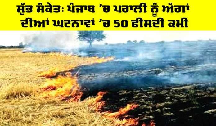 Stubble-Fire Stubble Fire