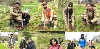 Tree Plantation England