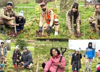 Tree Plantation England