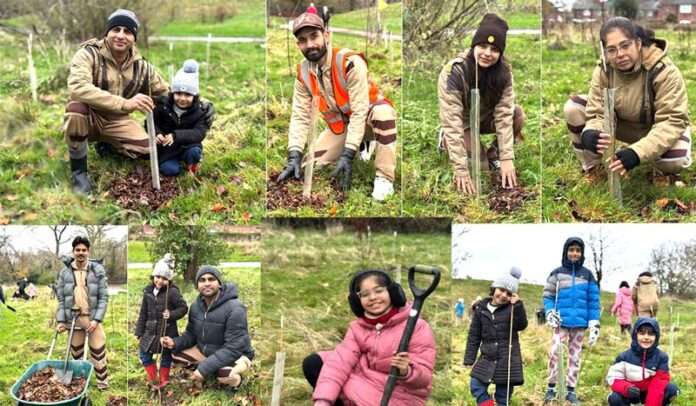 Tree Plantation England