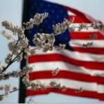 Trump Government: ਅਮਰੀਕਾ ਵਿੱਚ ਗੈਰ-ਕਾਨੂੰਨੀ ਪ੍ਰਵਾਸੀਆਂ ਵਿਰੁੱਧ ਕਾਰਵਾਈ ਤੇਜ਼, ICE ਨੇ ਹਿਰਾਸਤ ’ਚ ਲਏ ਲੋਕਾਂ ਦਾ ਡਾਟਾ ਜਾਰੀ ਕੀਤਾ Trump Government