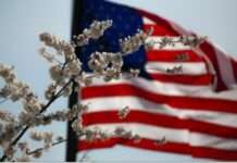 Trump Government: ਅਮਰੀਕਾ ਵਿੱਚ ਗੈਰ-ਕਾਨੂੰਨੀ ਪ੍ਰਵਾਸੀਆਂ ਵਿਰੁੱਧ ਕਾਰਵਾਈ ਤੇਜ਼, ICE ਨੇ ਹਿਰਾਸਤ ’ਚ ਲਏ ਲੋਕਾਂ ਦਾ ਡਾਟਾ ਜਾਰੀ ਕੀਤਾ Trump Government