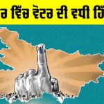 Voter Participation In Democracy