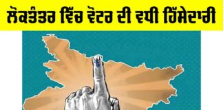 Voter Participation In Democracy