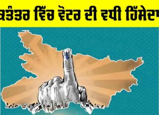 Voter Participation In Democracy