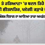 Fog-in-Haryana-Punjab