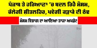 Fog-in-Haryana-Punjab