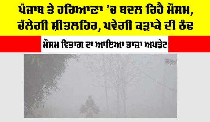 Fog-in-Haryana-Punjab