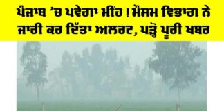 Weather News Punjab